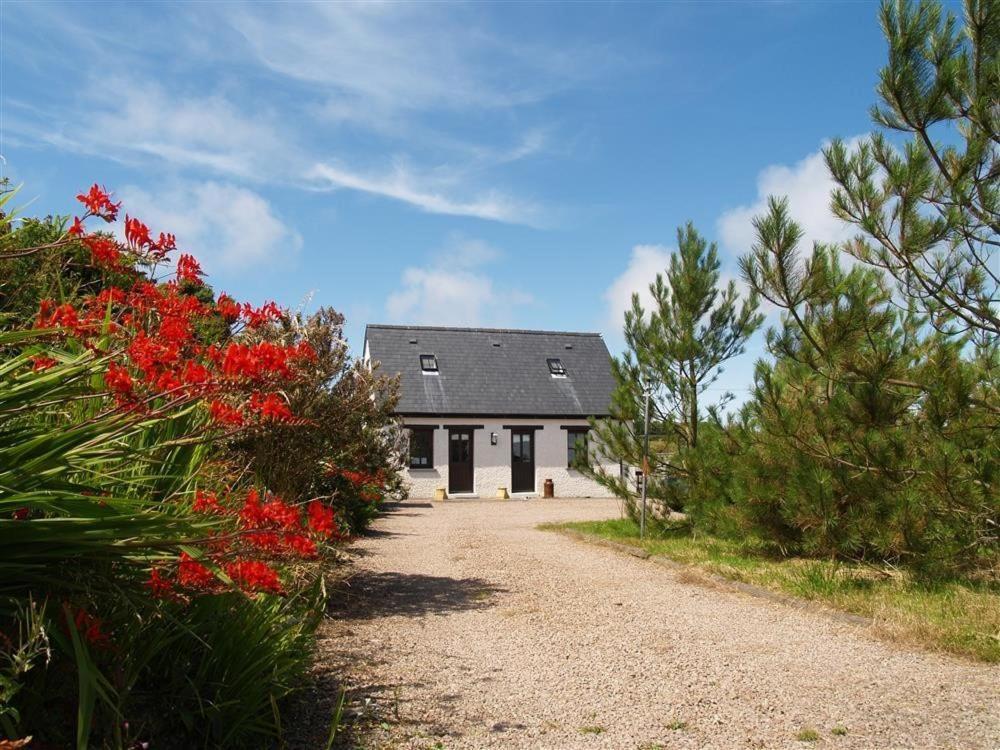 Cockshead Cottage Saint Dogmaels Εξωτερικό φωτογραφία